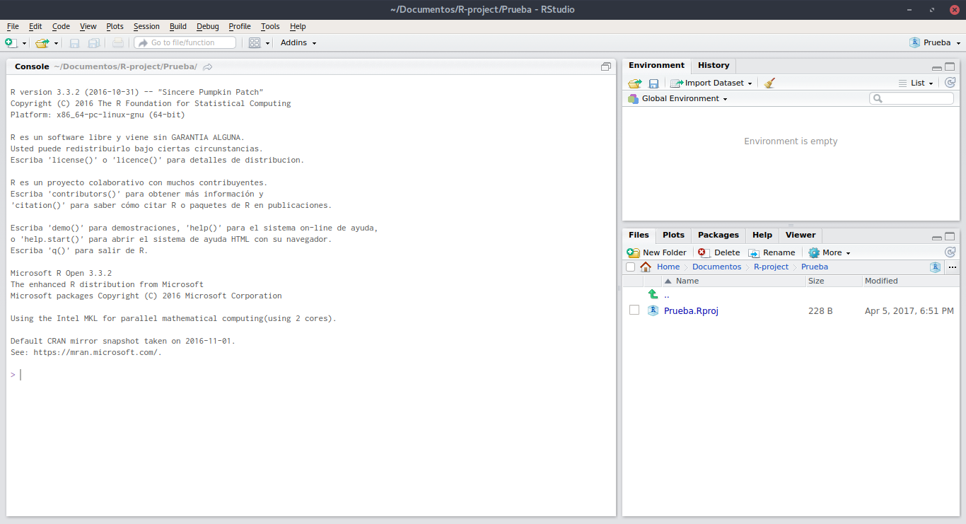 Proyecto cargado en RStudio